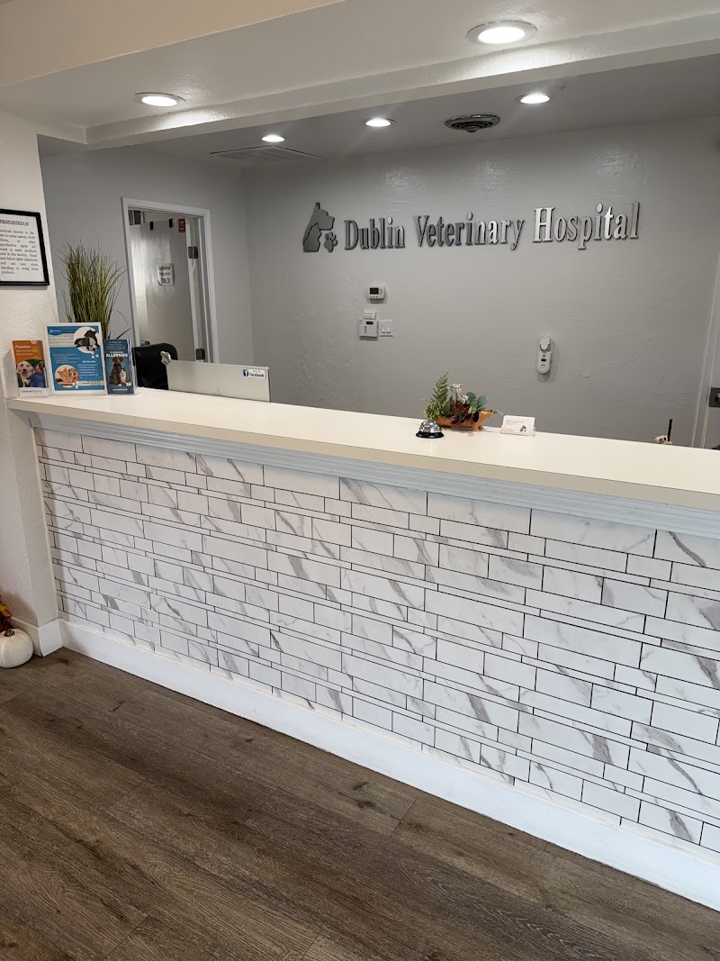 Dublin Veterinary Hospital photo 5