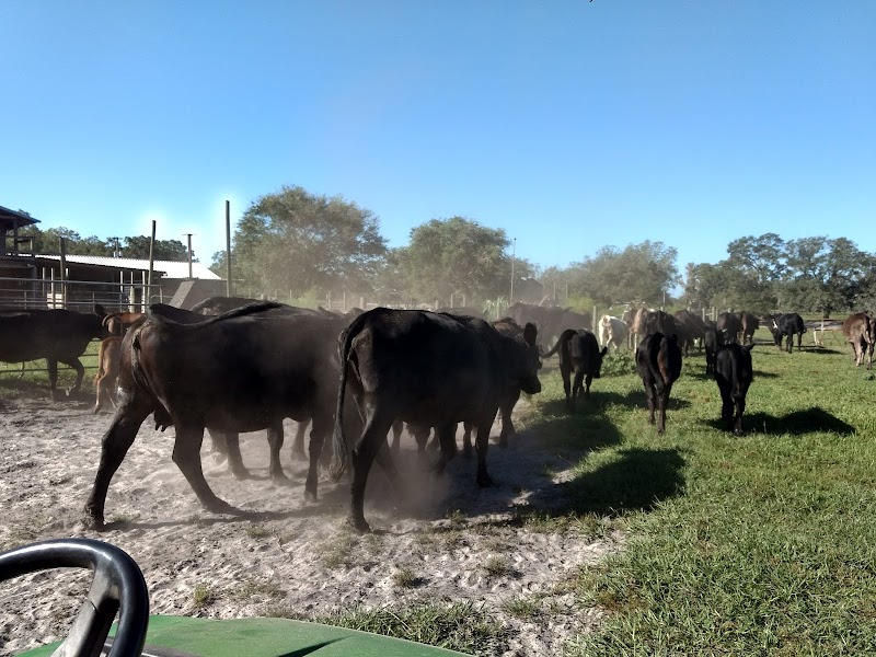 Photo of Country Animal Clinic