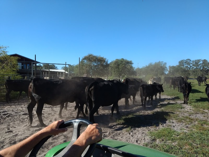 Country Animal Clinic photo 3