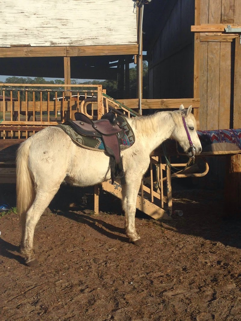 Country Animal Clinic photo 2