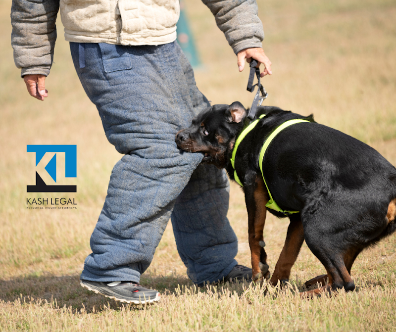 Kash Legal Group - Cupertino Personal Injury and Accident Lawyers photo 3