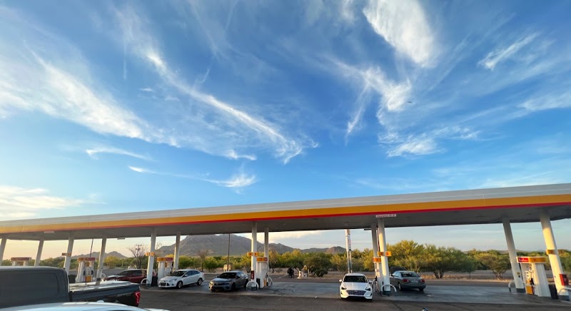 Shell photo 3