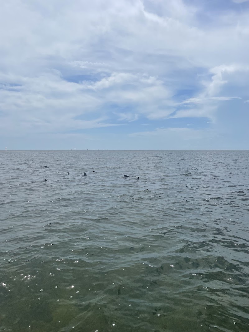 East Anclote photo 5
