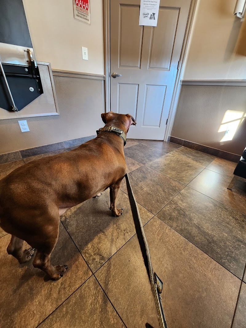 Sierra Animal Hospital photo 5