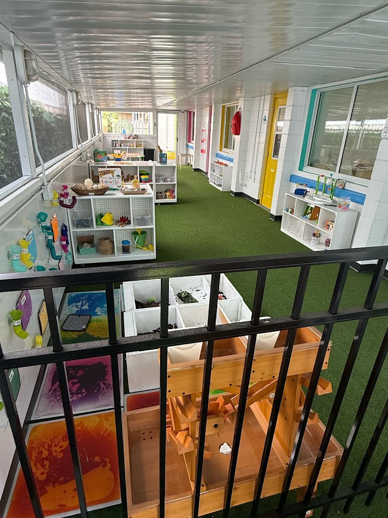 Kinovu School of Palma Ceia photo 5