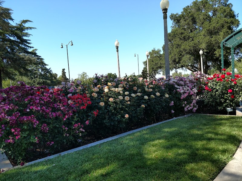 University Park World Peace Rose Garden photo 2