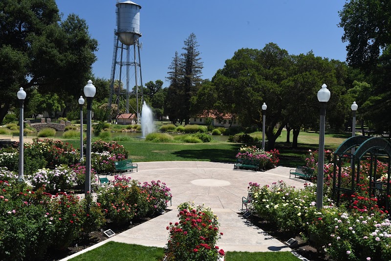University Park World Peace Rose Garden photo 3