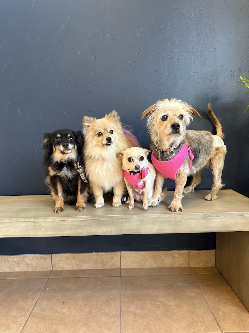 Juvo Veterinary Hospital photo 4