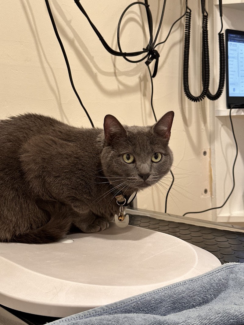 Juvo Veterinary Hospital photo 2