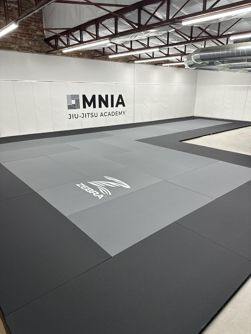 Omnia Jiu-Jitsu Academy photo 4