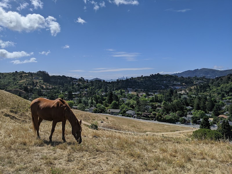 Photo of Horse Hill Preserve