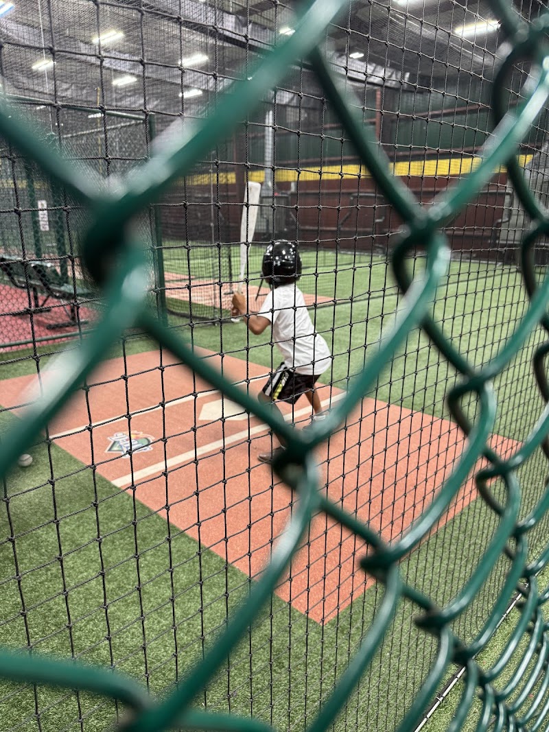 D-BAT San Antonio photo 3