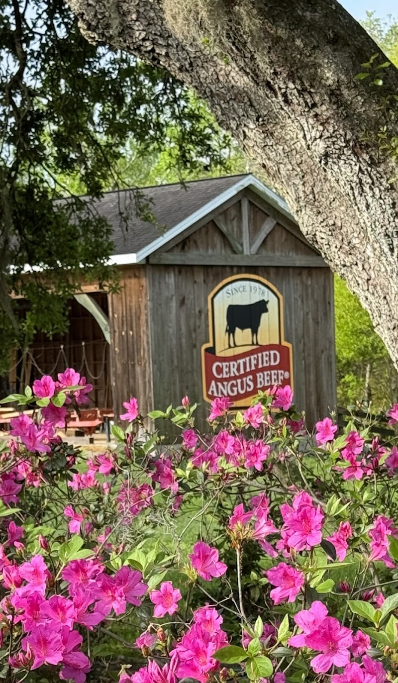 Big Timber Cattle Company photo 3
