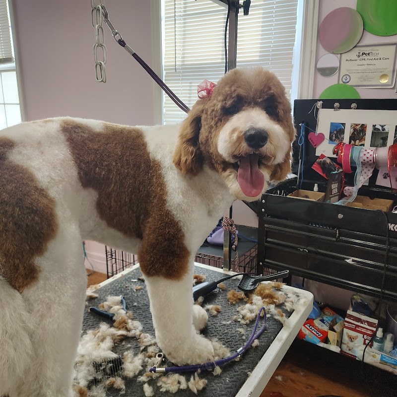 Jennifer the doggy groomer photo 2