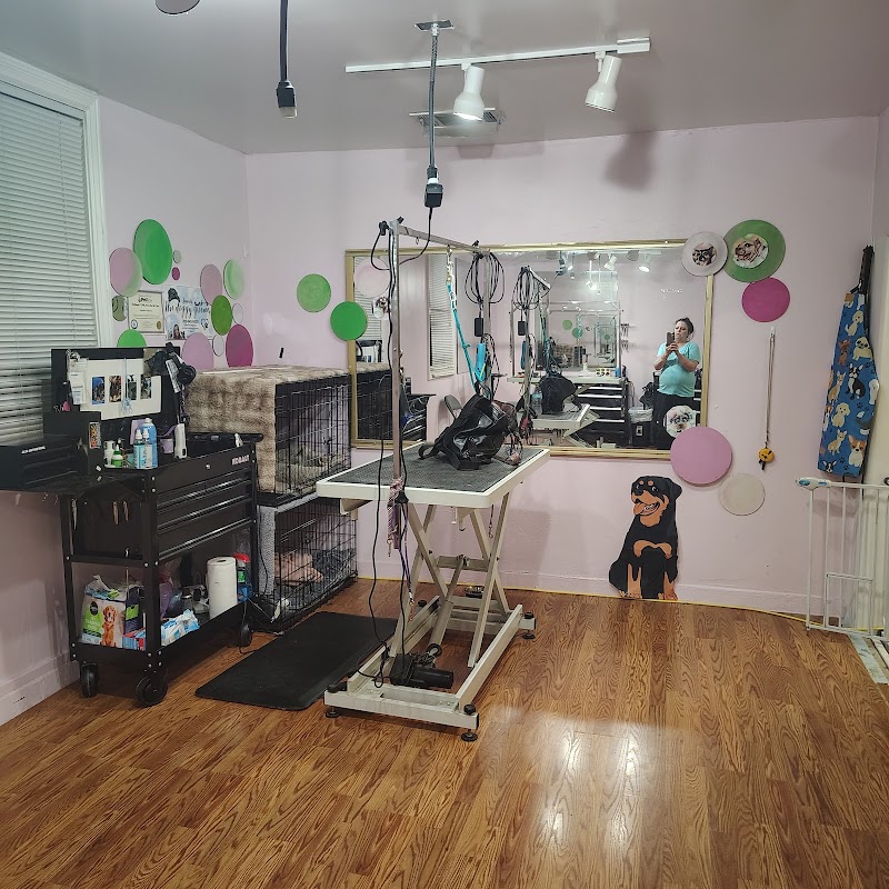 Photo of Jennifer the doggy groomer