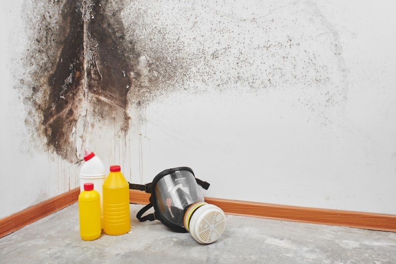 Photo of Grames Mold Removal & Remediation Vallejo CA