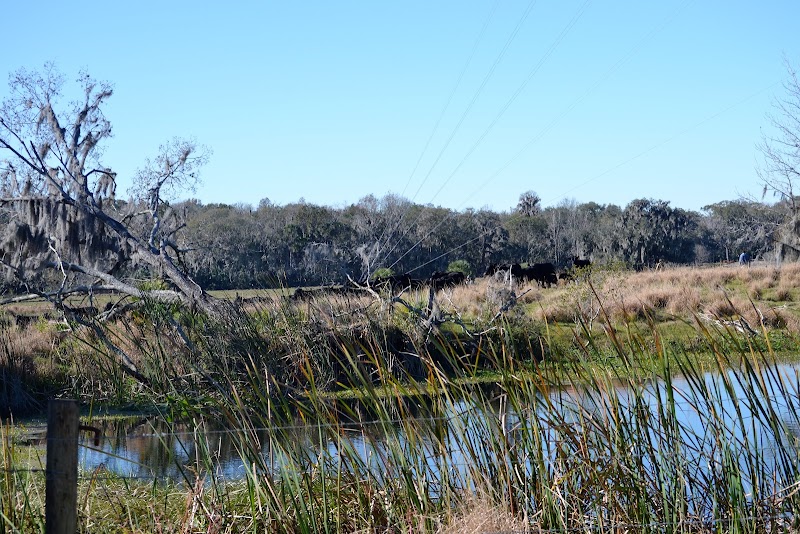 Fire River 4 Ranch photo 3