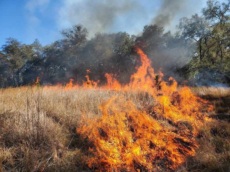 Natural Resource Planning Services photo 2