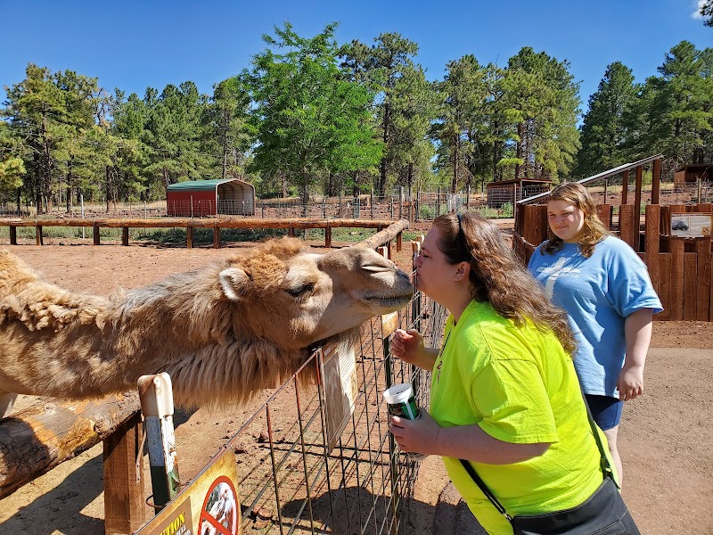 Grand Canyon Deer Farm photo 3