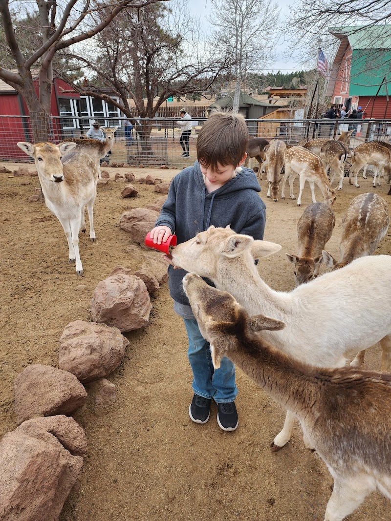 Grand Canyon Deer Farm photo 2
