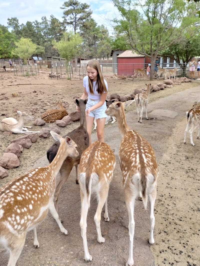 Photo of Grand Canyon Deer Farm