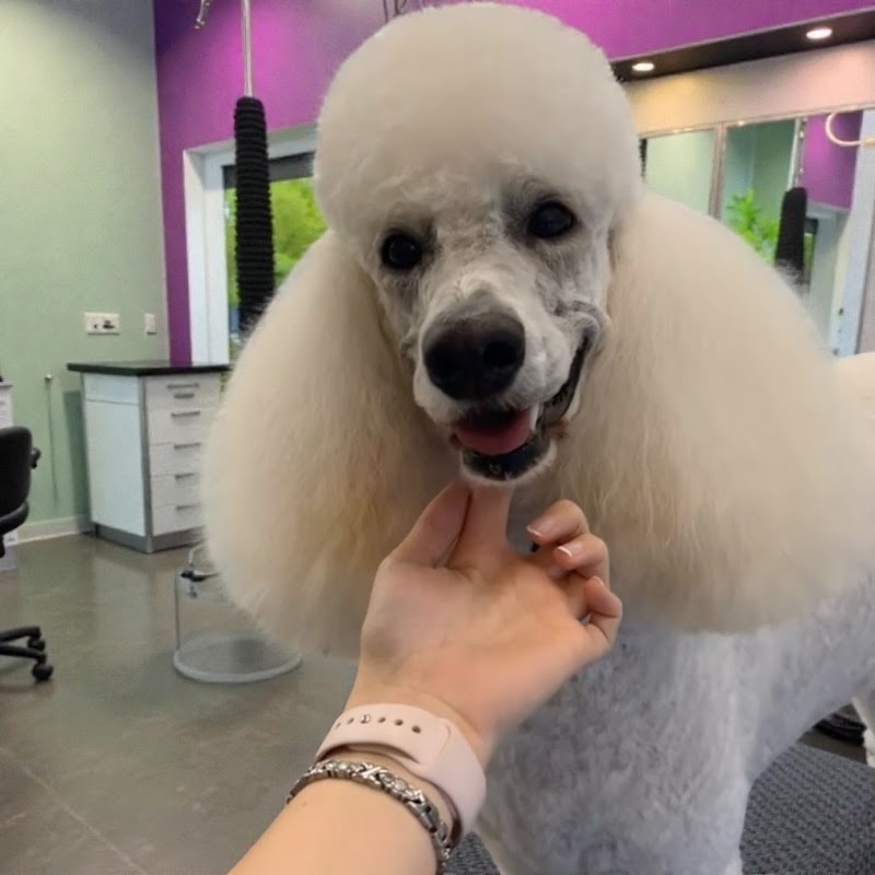Fayes Fluffy Friends photo 3