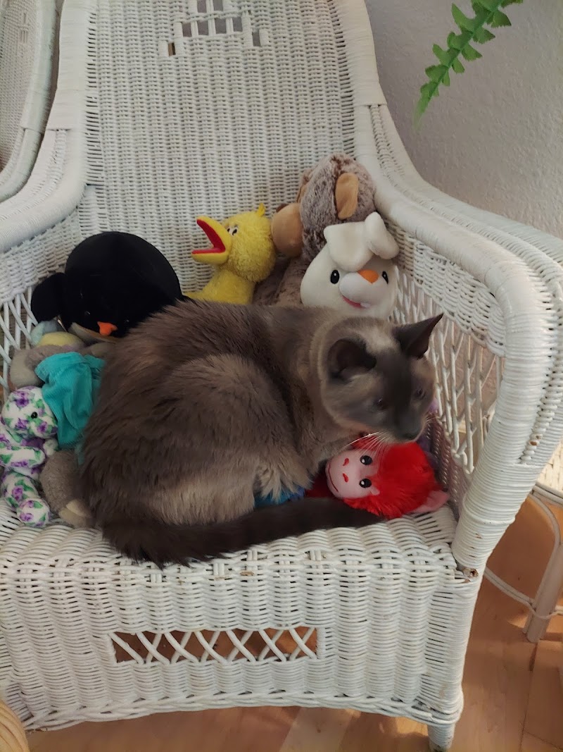 Pets Eternal Rest photo 2