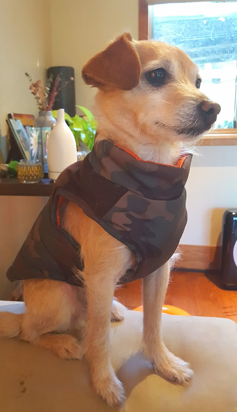 Photo of Pets Eternal Rest