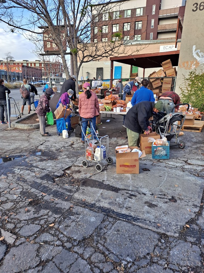Emeryville Citizens Assistance Program - ECAP photo 3