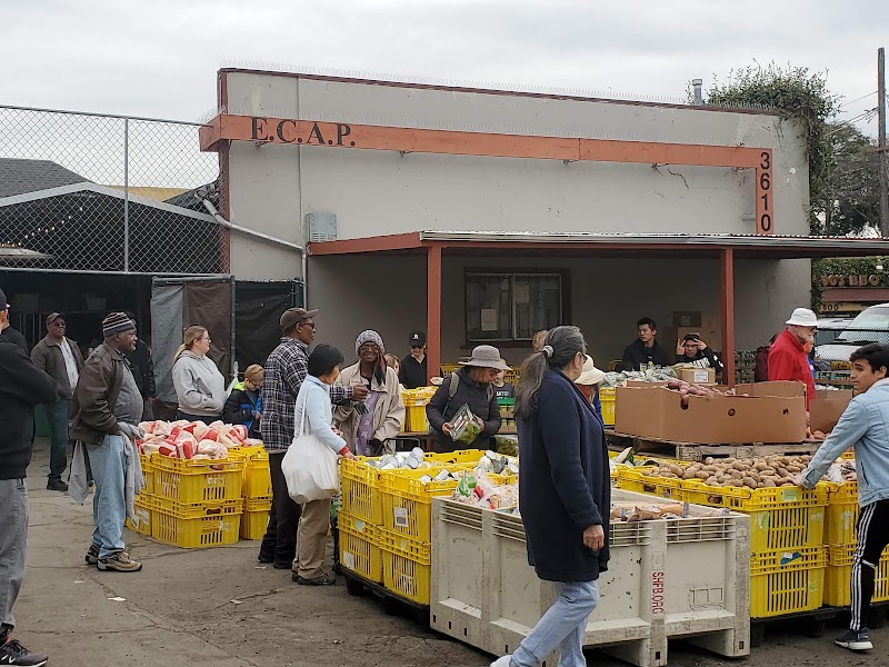 Emeryville Citizens Assistance Program - ECAP photo 4