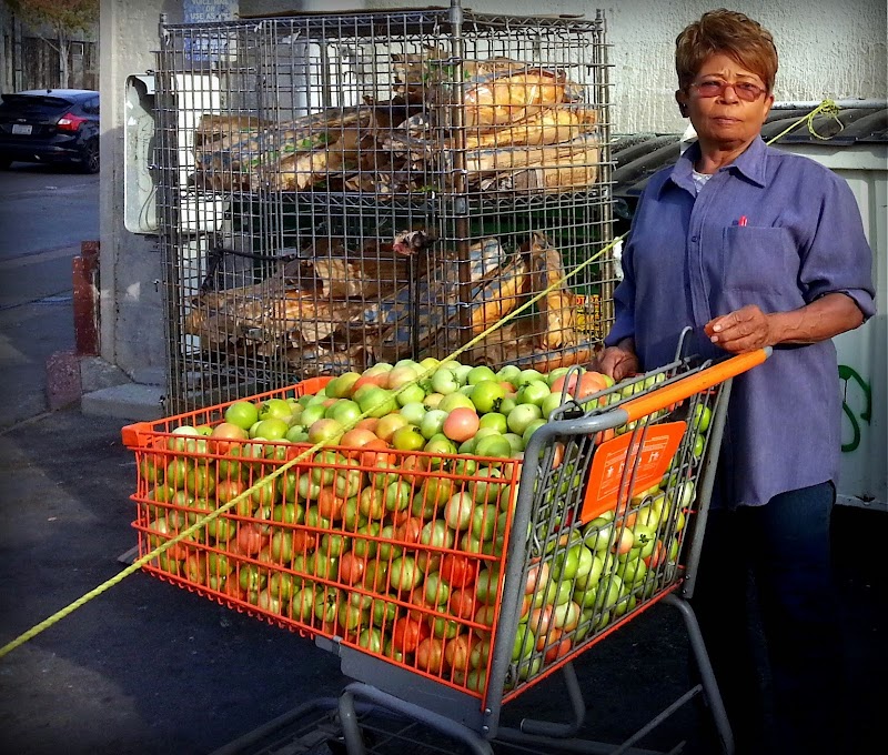 Emeryville Citizens Assistance Program - ECAP photo 2