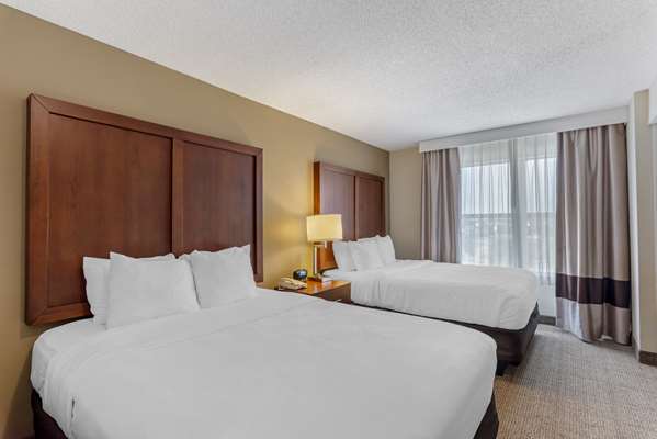 Comfort Inn & Suites Dover near Speedway photo 2