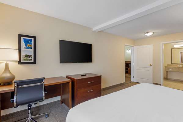 Comfort Inn & Suites Dover near Speedway photo 4