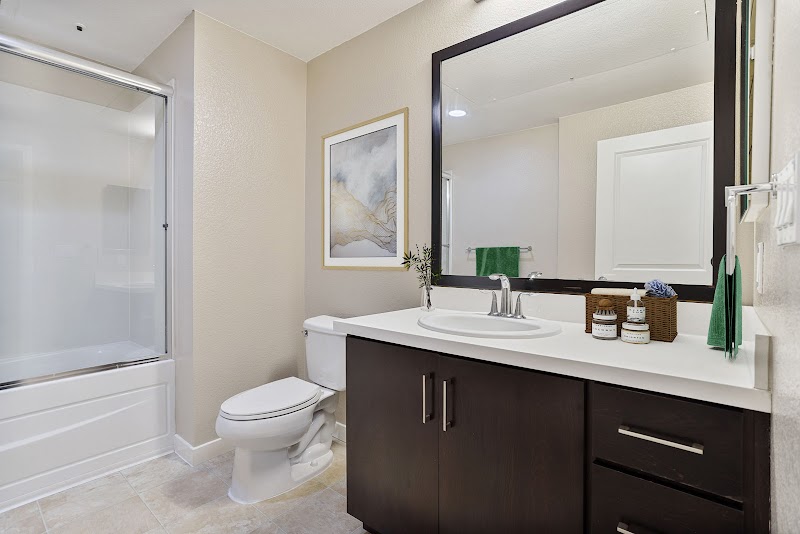 The Plaza Apartments photo 4