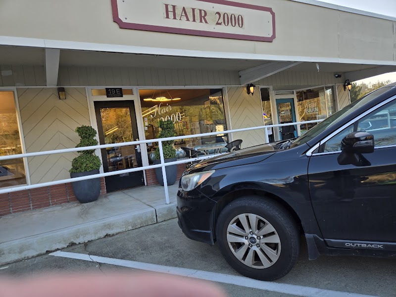 Photo of Hair 2000