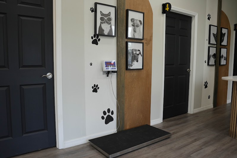 Collier Parkway Animal Hospital photo 5