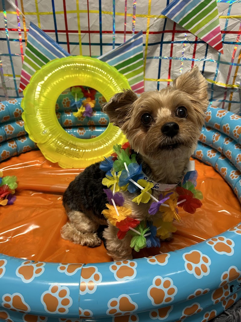 Adorable Ankle Biters Bed and Biscuit photo 3