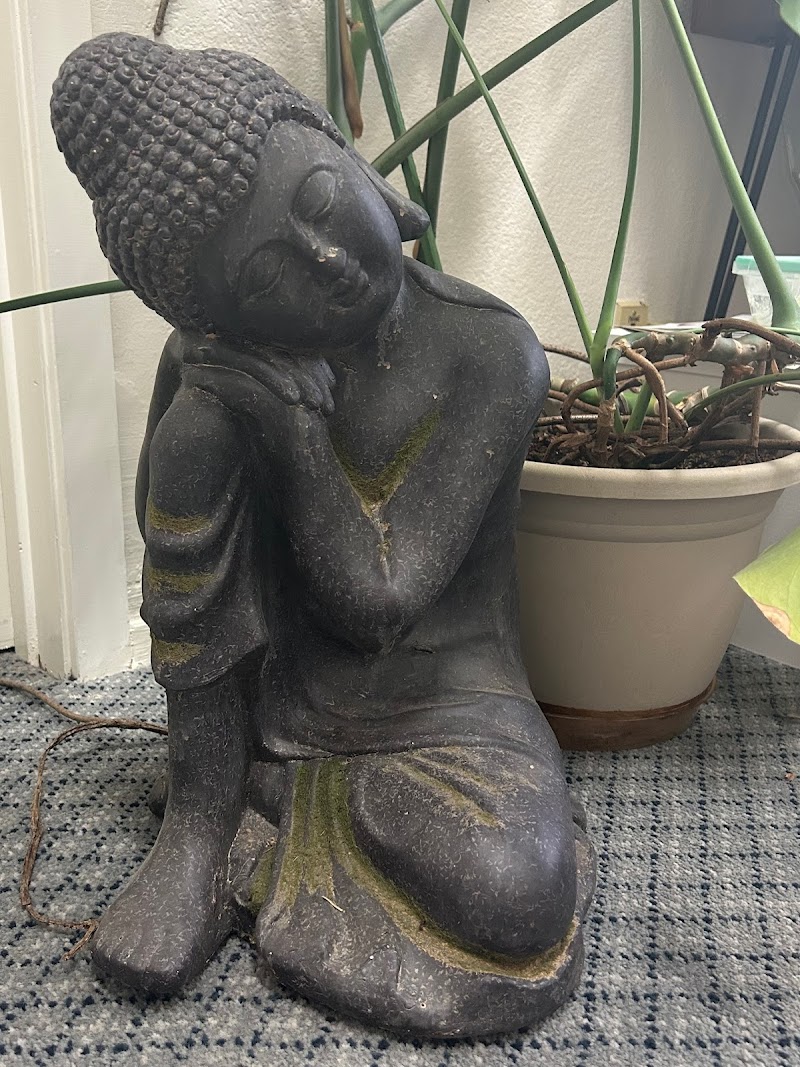 New Haven Wellness photo 4