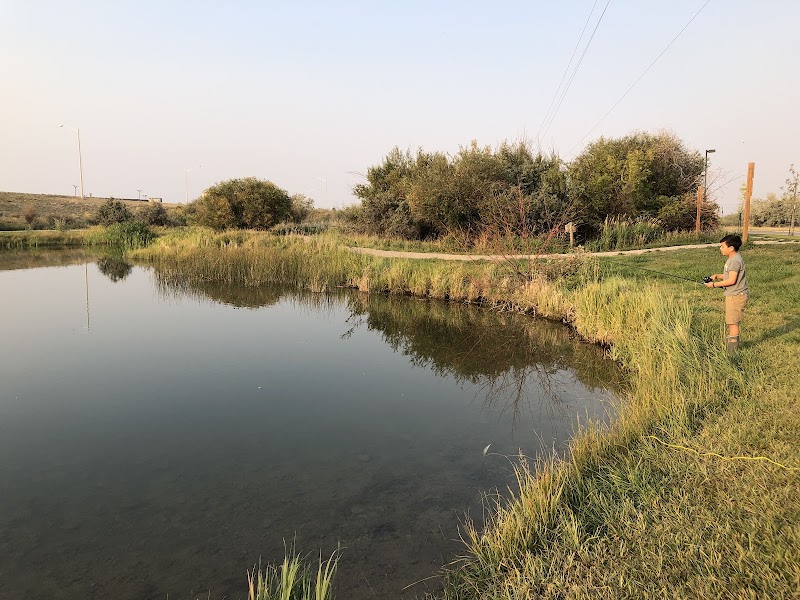 Photo of Blacktail Meadows
