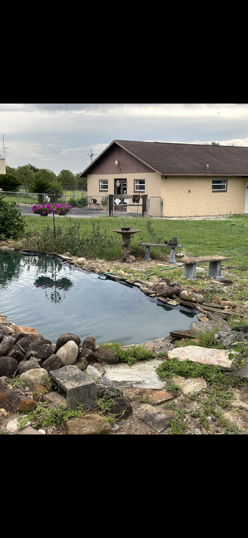 Royal Palm Pet Resort photo 4