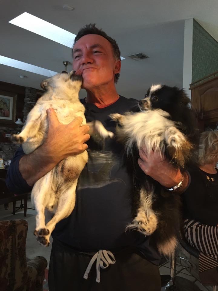 Royal Palm Pet Resort photo 5