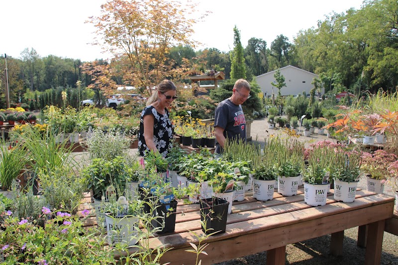 Everett's Gardens photo 3