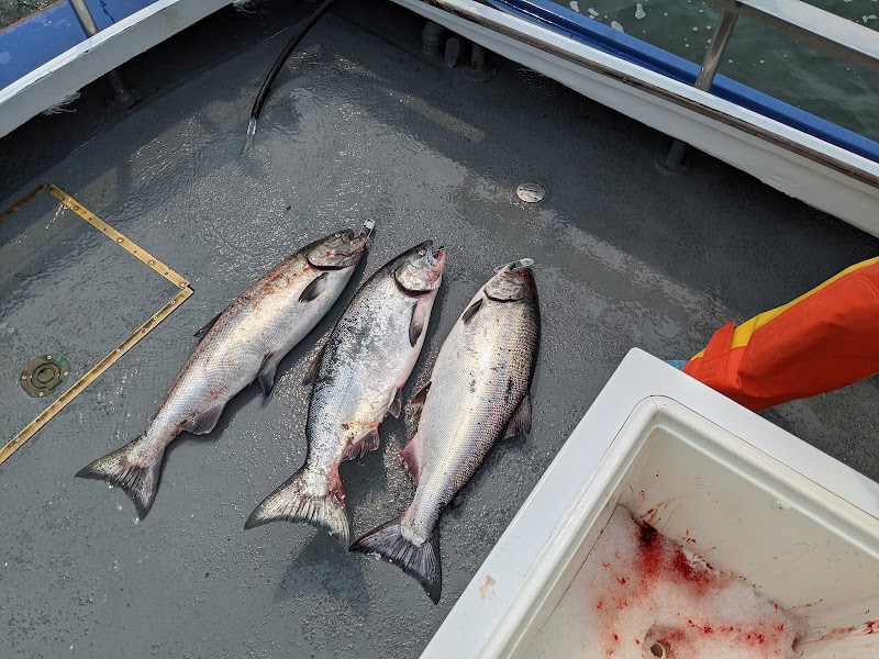Argo Sportfishing photo 3