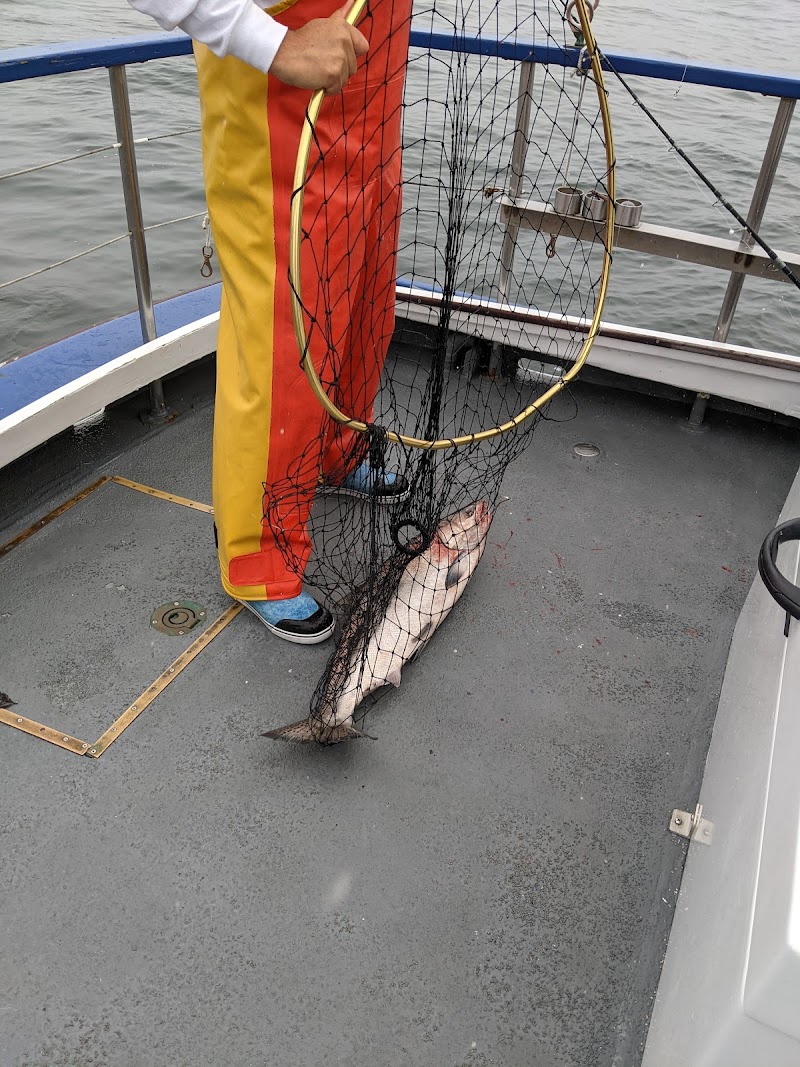 Argo Sportfishing photo 5