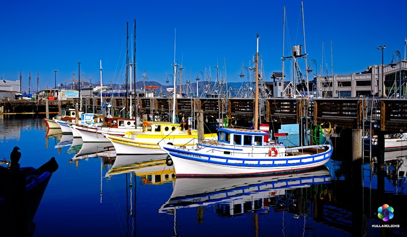 Argo Sportfishing photo 4