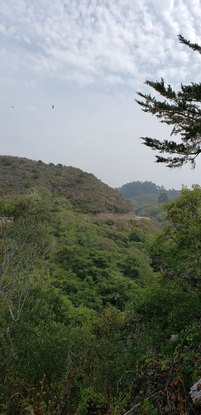 Photo of Lobitos Creek Ranch