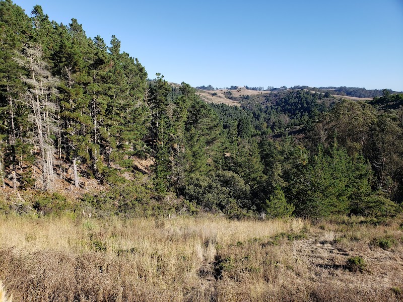 Lobitos Creek Ranch photo 2