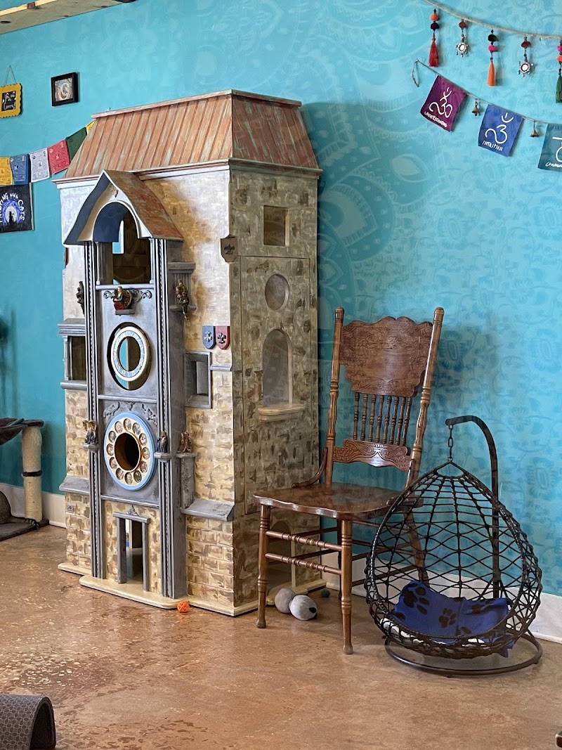Photo of The Witty Whisker Cat Cafe