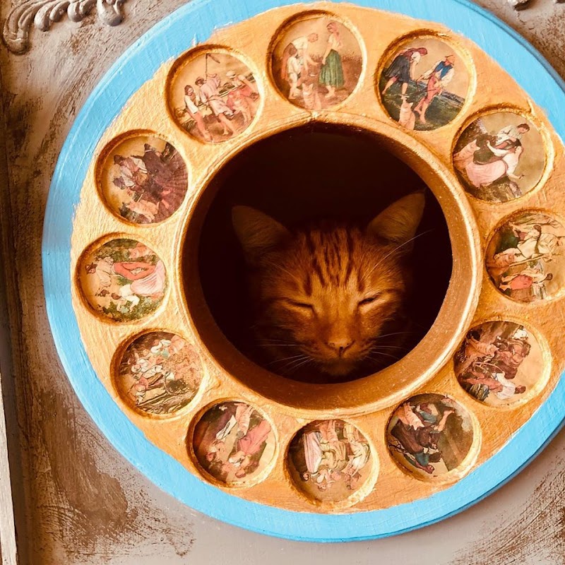 The Witty Whisker Cat Cafe photo 2