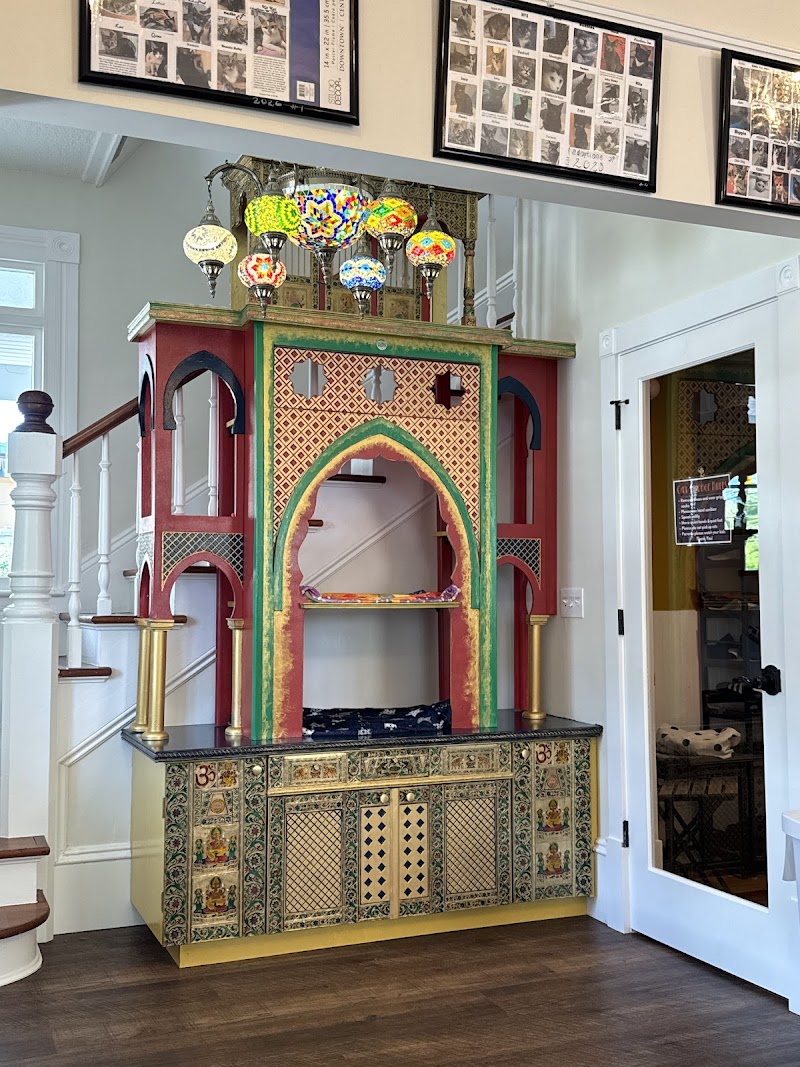 The Witty Whisker Cat Cafe photo 5